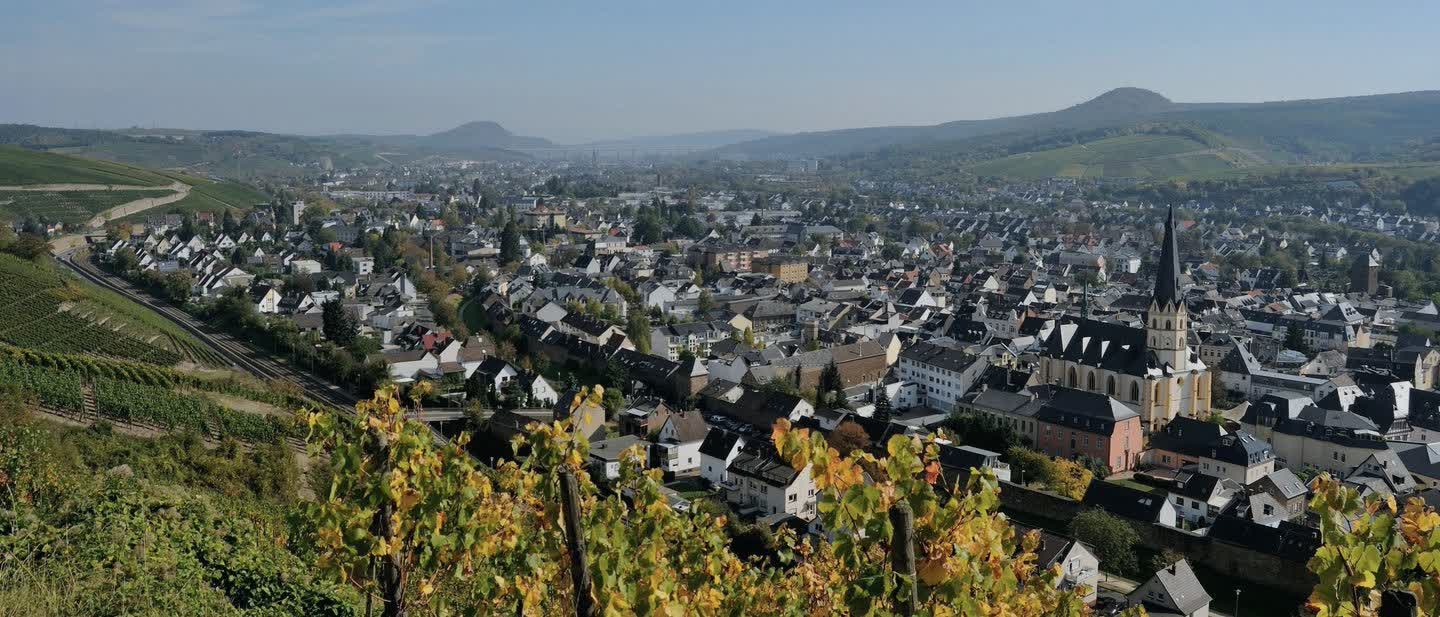Ahrweiler mit Stadtmauer und der Sankt-Laurentius-Kirche, gesehen vom Rotweinwanderweg über den herbstlichen Weinbergen