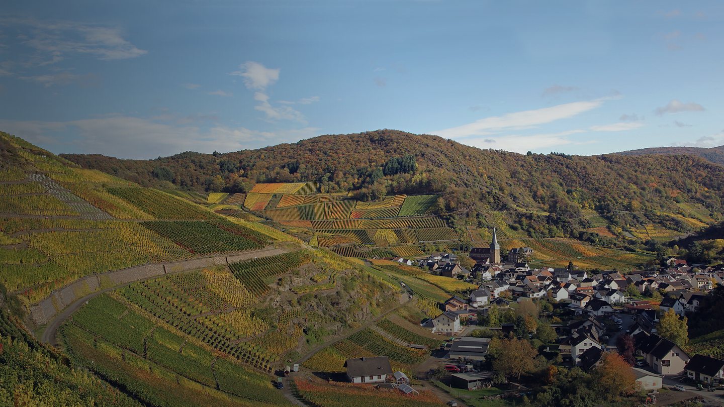 Weinberge über Mayschoß im Ahrtal, Panorama über das Tal