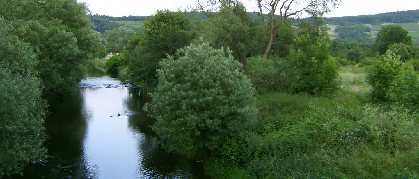 Die Ahr bei Bad Bodendorf, kurz vor der Mündung in den Rhein